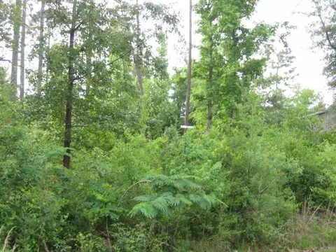 0 E Lakeshore, Carriere, MS 39426