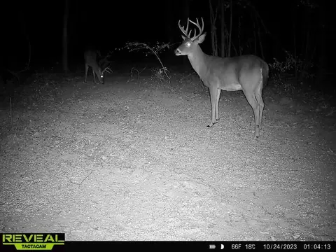 00 Us Hwy 84, Prentiss, MS 39474