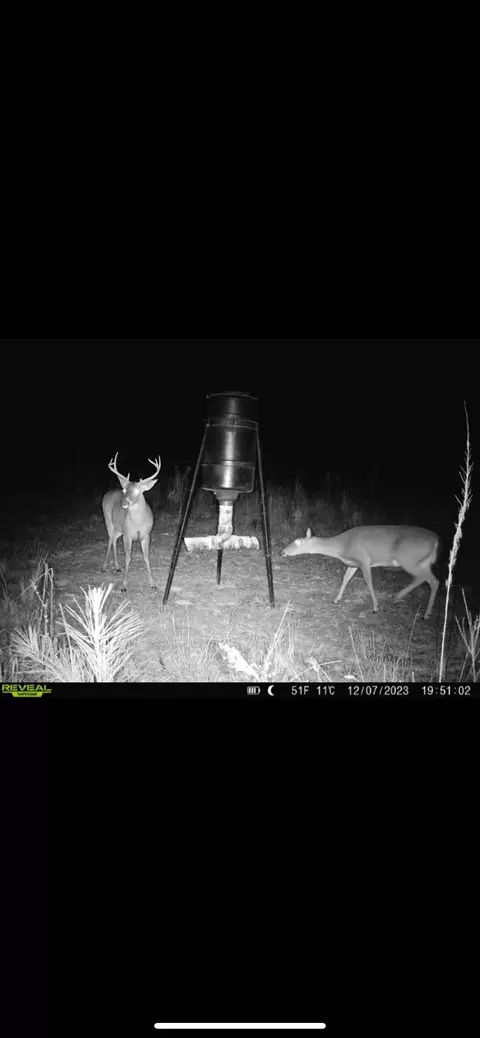 0 Rogers Rd, Columbia, MS 39429