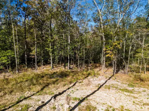 02 Centerville Rd, Soso, MS 39480 photo 12