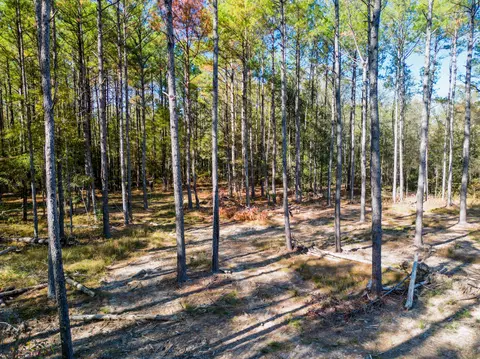 02 Centerville Rd, Soso, MS 39480