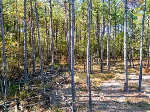 02 Centerville Rd, Soso, MS 39480 photo 3