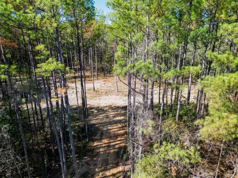 02 Centerville Rd, Soso, MS 39480 photo 10