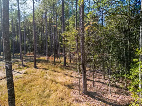 02 Centerville Rd, Soso, MS 39480 photo 6