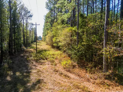 02 Centerville Rd, Soso, MS 39480 photo 4
