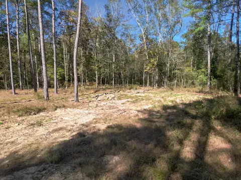 02 Centerville Rd, Soso, MS 39480 photo 11