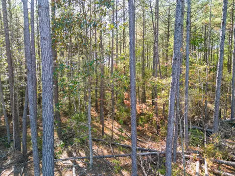 02 Centerville Rd, Soso, MS 39480 photo 8