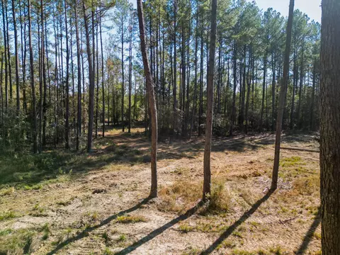 02 Centerville Rd, Soso, MS 39480 photo 7