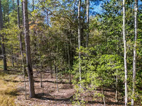 02 Centerville Rd, Soso, MS 39480 photo 5