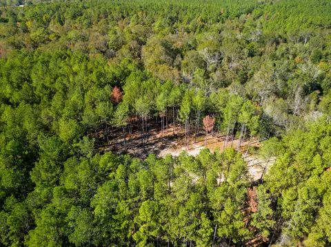 03 Centerville Rd, Soso, MS 39480