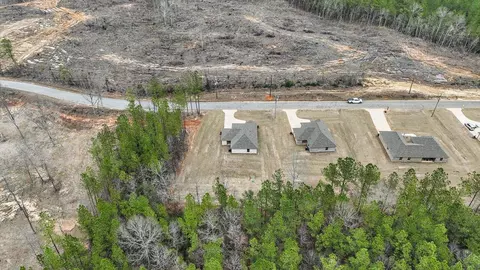 View/Area - 307 Anse Reed Rd, Magee, MS 39111 photo 13 of 18