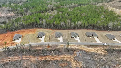 View/Area - 291 Anse Reed Rd, Magee, MS 39111 photo 4 of 17