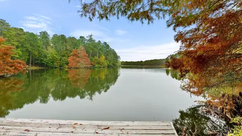 170 Hickory Hills Loop, Purvis, MS 39475 photo 52