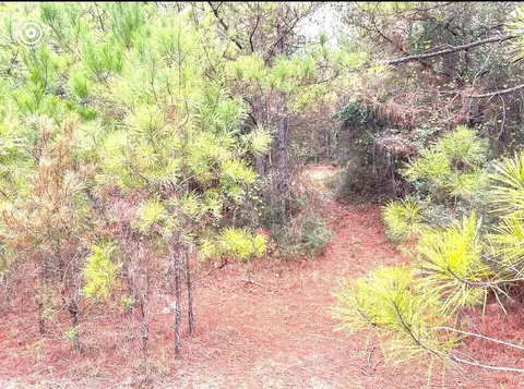 1277 Hwy 541 S, Magee, MS 39111 photo 4