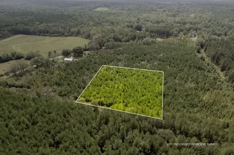 4 Dora Barber, Tylertown, MS 39667