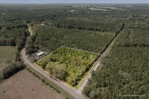 6 Dora Barber, Tylertown, MS 39667