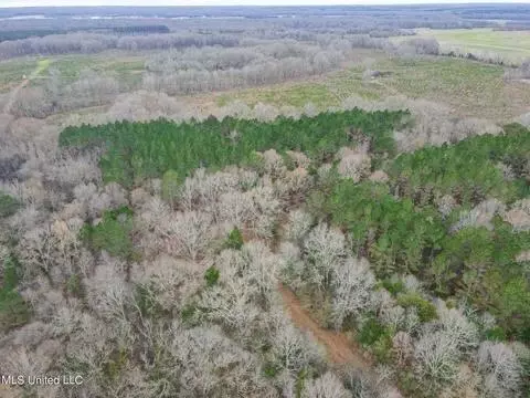 0 St Thomas Rd, Bolton, MS 39041