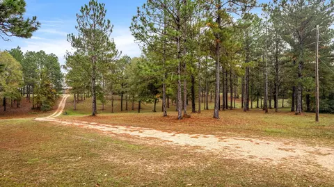 114 Steelman, Purvis, MS 39475 photo 3