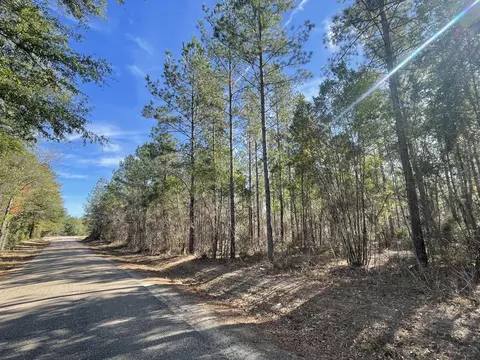 0 Old Augusta, Richton, MS 39476 photo 3