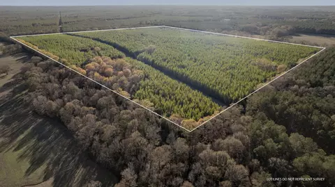 120 Acres Good Hope Rd, Bassfield, MS 39421