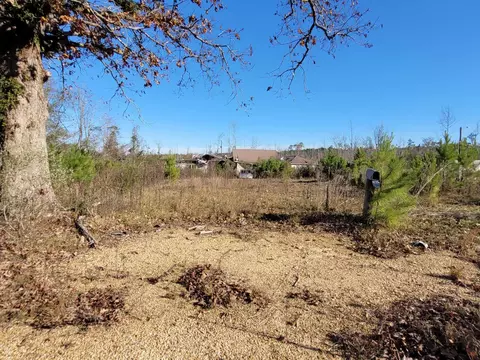 70 Reese Rd, Bassfield, MS 39421