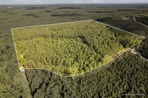 30 Acres Jenkins Rd, Neely, MS 39461