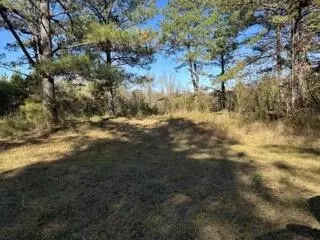 42 J D Aultman Rd, Sumrall, MS 39482 photo 4
