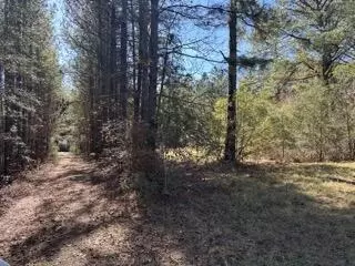 42 J D Aultman Rd, Sumrall, MS 39482 photo 2