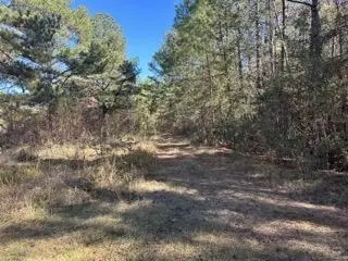 42 J D Aultman Rd, Sumrall, MS 39482 photo 5