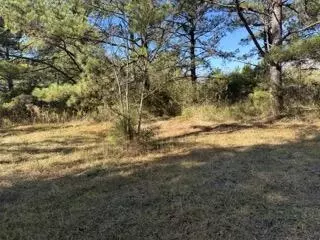 42 J D Aultman Rd, Sumrall, MS 39482 photo 3