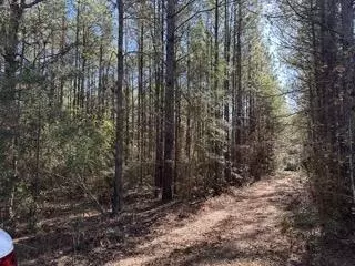 42 J D Aultman Rd, Sumrall, MS 39482 photo 6