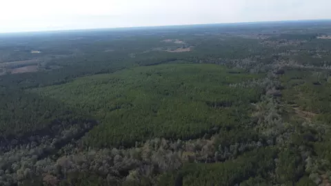 0 Neely Avera Rd, Leakesville, MS 39451