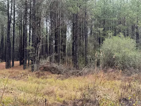 811 Old Riv, Moselle, MS 39459