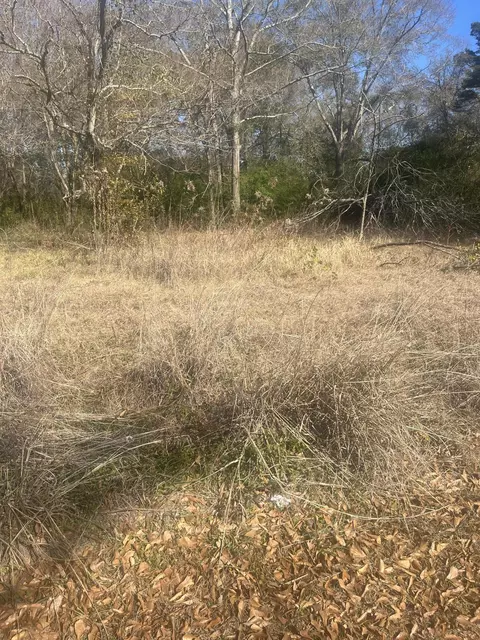 433 W 4th St, Hattiesburg, MS 39401