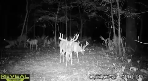 121 24 Acres Woolfolk Deadening Rd, Yazoo City, MS 39173