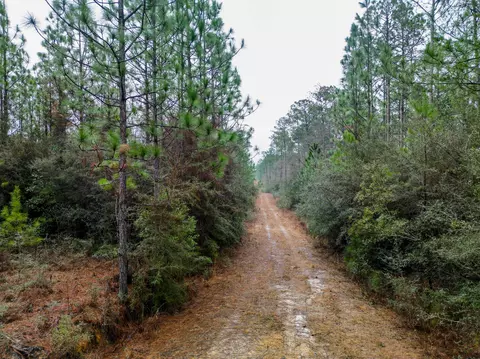 00 Stump Texas Rd, Lumberton, MS 39455