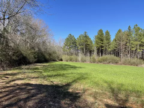 00 Mt Zion Rd, Magee, MS 39111 photo 11