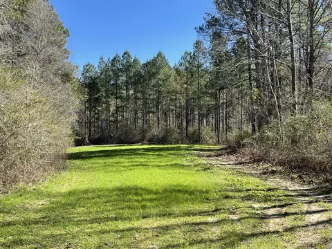 00 Mt Zion Rd, Magee, MS 39111 photo 6