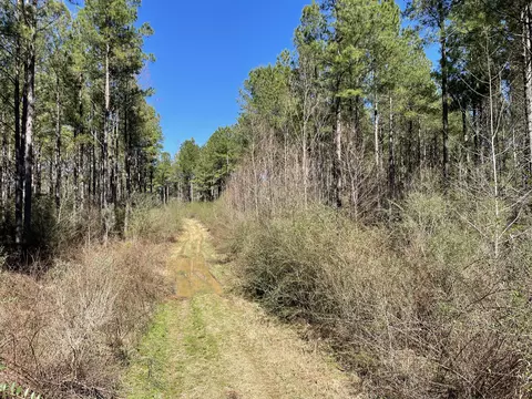 00 Mt Zion Rd, Magee, MS 39111 photo 7