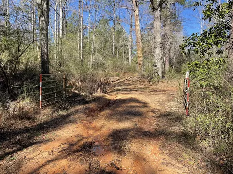 00 Mt Zion Rd, Magee, MS 39111 photo 15