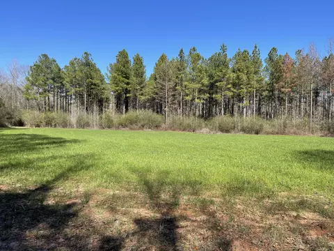 00 Mt Zion Rd, Magee, MS 39111 photo 10