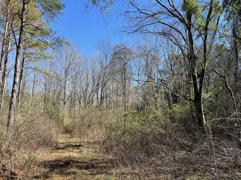 00 Mt Zion Rd, Magee, MS 39111 photo 12