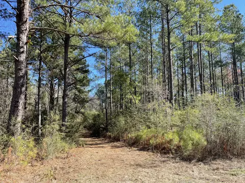 00 Mt Zion Rd, Magee, MS 39111 photo 8