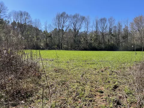 00 Mt Zion Rd, Magee, MS 39111 photo 13