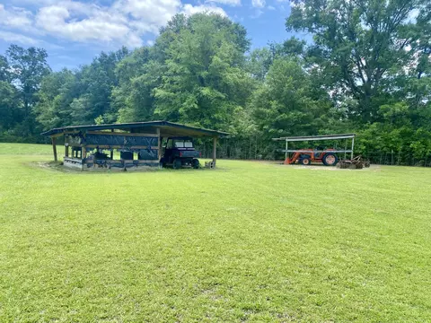 Exterior - 26 W Thompson Rd, Brooklyn, MS 39425 photo 12 of 13