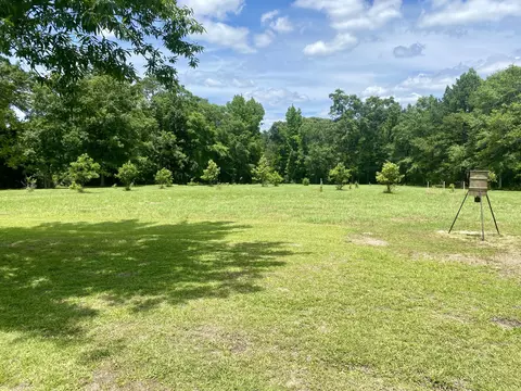 Exterior - 26 W Thompson Rd, Brooklyn, MS 39425 photo 9 of 13