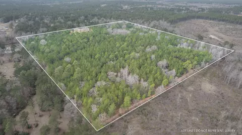 42 Acres C Brown, Lumberton, MS 39455