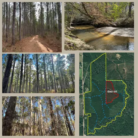 0 Hwy 13percy Bates, Oak Vale, MS 39656