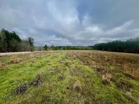 0 Watson Rd, Richton, MS 39476 photo 4