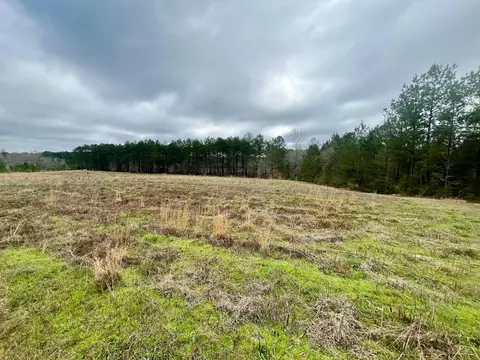 0 Watson Rd, Richton, MS 39476 photo 3